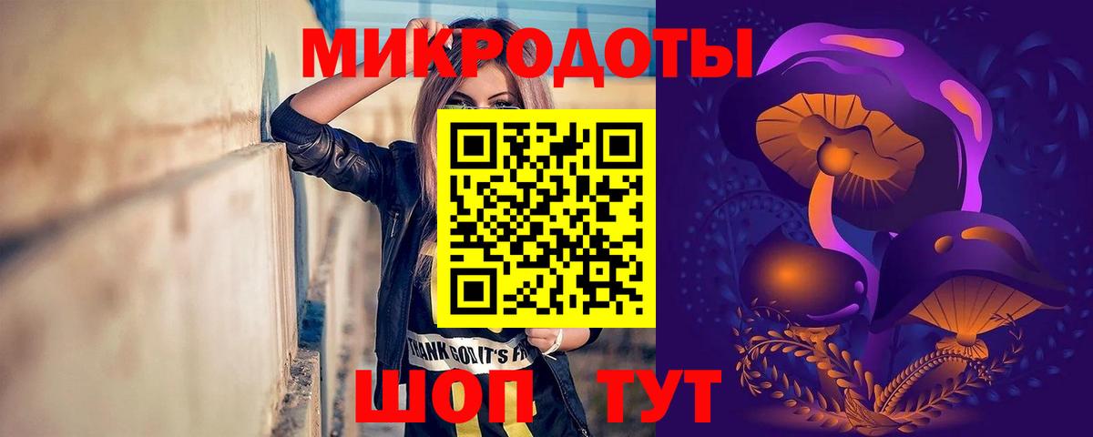 Псилоцибиновые грибы Psilocybe  Псилоцибиновые грибы MAGIC MUSHROOMS  закладка  Светлоград  Вход с VPN 